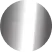 Shiny Silver